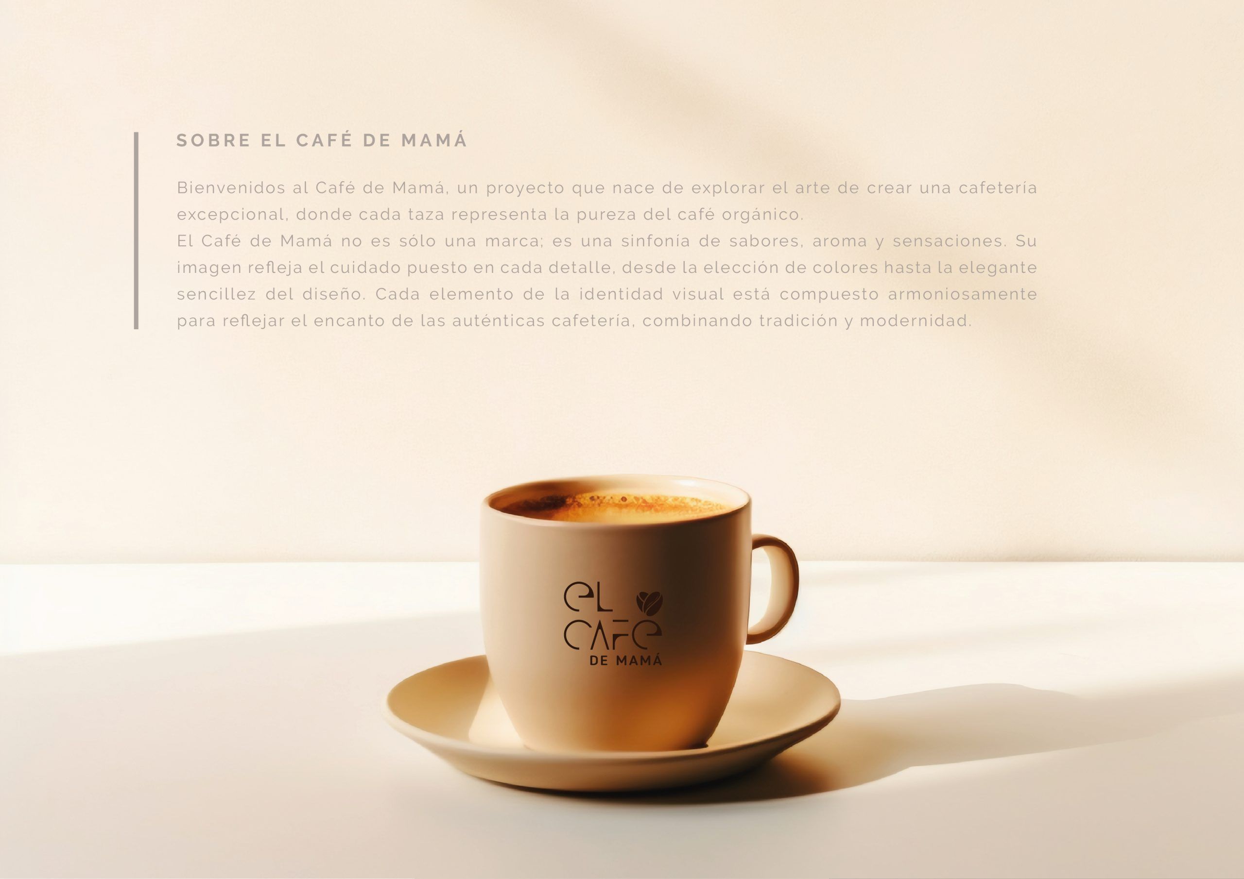 Manual de identidad